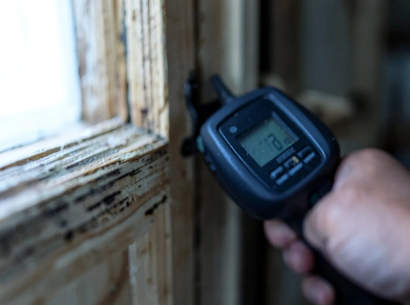 Moisture Inspection And Documentation in Wheeling, WV